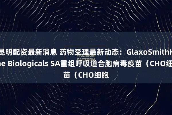 昆明配资最新消息 药物受理最新动态：GlaxoSmithKline Biologicals SA重组呼吸道合胞病毒疫苗（CHO细胞