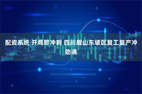 配资系统 开局即冲刺 四川眉山东坡区复工复产冲劲满