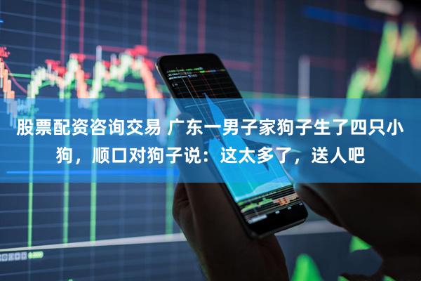 股票配资咨询交易 广东一男子家狗子生了四只小狗，顺口对狗子说：这太多了，送人吧