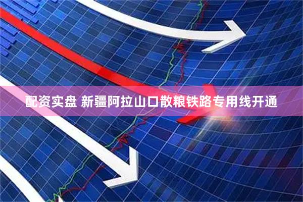 配资实盘 新疆阿拉山口散粮铁路专用线开通