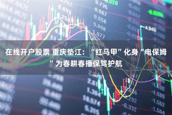在线开户股票 重庆垫江：“红马甲”化身“电保姆”为春耕春播保驾护航